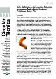 Thumbnail de Efeito da Infestação de Larvas de Diabrotica speciosa em Tubérculos de Batata em Períodos de Calor e Frio.