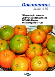 Thumbnail de Diferenciação entre as cultivares de tangerineira 'BRSCAI Silvana', 'Montenegrina' e 'Caí'.