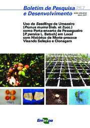 Thumbnail de Uso de seedlings de umezeiro (Prunus mume Sieb. et Zucc.) como porta-enxerto de pessegueiro [P. persica L. Batsch] em local com histórico de morte-precoce visando seleção e clonagem.