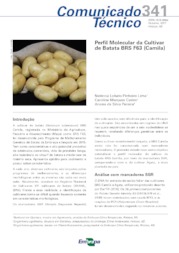 Thumbnail de Perfil molecular da cultivar de batata BRS F63 (Camila).