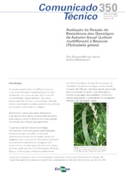 Thumbnail de Avaliação da Reação de Resistência dos Genótipos de Azevém Anual (Lolium multiflorum) à Brusone (Pyricularia grisea).