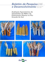 Thumbnail de Avaliação agronômica de variedades de milho de polinização aberta no Rio Grande do Sul.