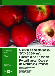 Thumbnail de Cultivar de nectarineira 'BRS SCS Nina': produtora de frutas de polpa branca, doce e de maturação precoce.