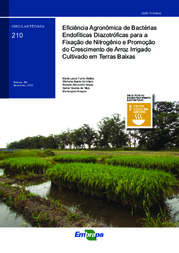 Thumbnail de Eficiência agronômica de bactérias endofíticas diazotróficas para a fixação de nitrogênio e promoção do crescimento de arroz irrigado cultivado em terras baixas.