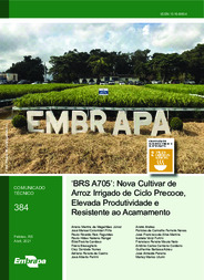 Thumbnail de 'BRS A705': nova cultivar de arroz irrigado de ciclo precoce, elevada produtividade e resistente ao acamamento.