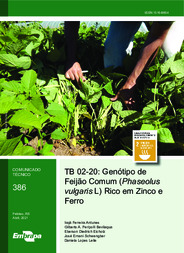 Thumbnail de TB 02-20: Genótipo de Feijão Comum (Phaseolus vulgaris L) Rico em Zinco e Ferro.