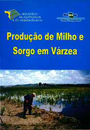 Thumbnail de Produção de milho e sorgo em várzea.