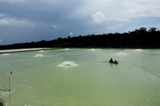 Image of Mapeamento de viveiros escavados para aquicultura no Brasil