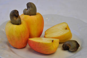 Imagem de Estabilidade e toxicidade do extrato de carotenoides obtido a partir da fibra de pedúnculo de caju para uso como corante alimentar