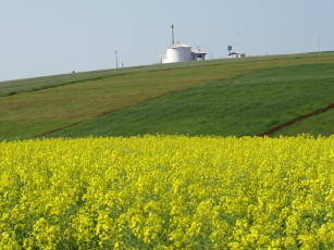 Image of App Mais Canola - Conhecimentos e tecnologias para apoiar o agricultor no cultivo